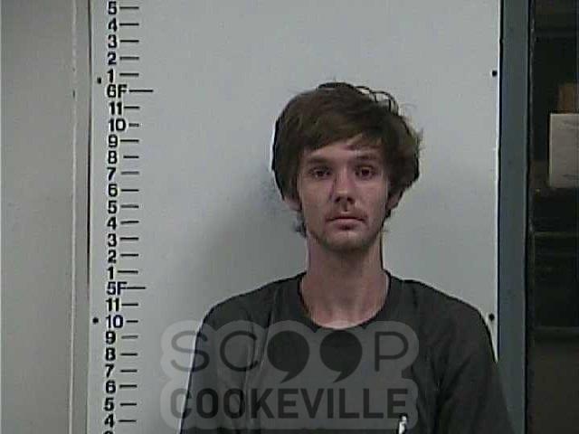 NATHANIEL ANDREW HENRY (PCSD)