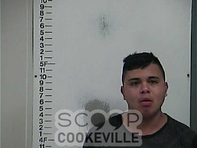 EZEQUIEL SANCHEZ booked on charge of: Mittimus To Jail