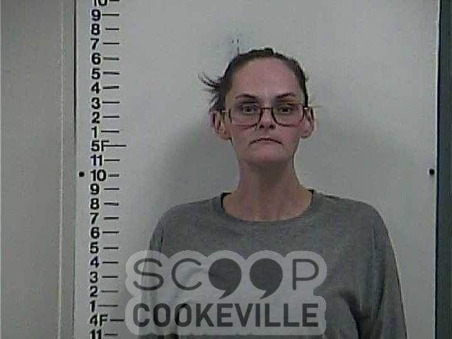 NICKOLINA PROVOST booked on charge of: Mittimus To Jail