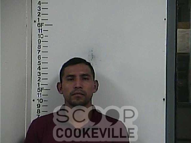 ALBERTO DIAZ booked on charge of: Capias (GS) – Failure To Appear/Pay