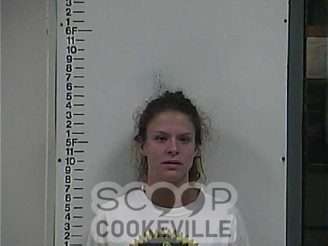 KATHLEEN SCHWARTZ booked on charge of: Violation Of Probation (General Sessions)