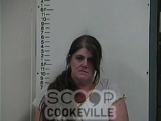 MICHELLE WALKER booked on charge of: Hold/Transfer/Court No New Charges