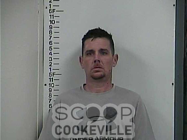 NICHOLAS GREENE booked on charge of: Violation Of An Order Of Protection