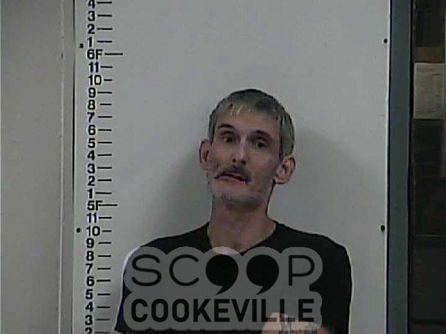 ROBERT RINGWALD booked on charge of: Public Intoxication