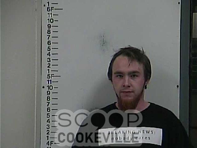ZACHARY PALMER booked on charge of: Hold/Transfer/Court No New Charges