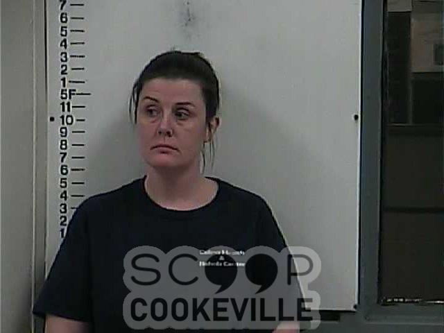 CAROL  ATKINS booked on charge of: Hold/Transfer/Court No New Charges