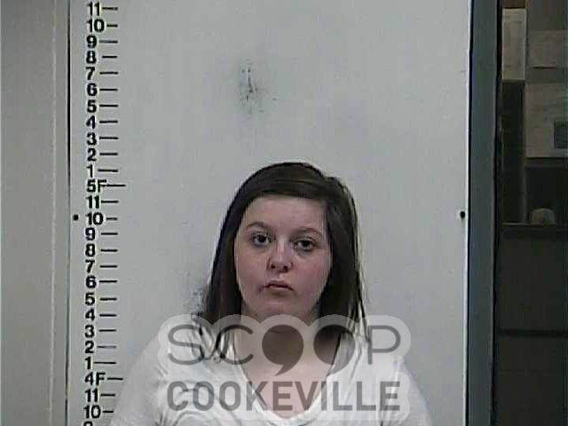 KRISTIN SMITH booked on charge of: Violation Of Probation (General Sessions)