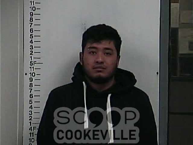MILDER LOPEZ booked on charge of: Vandalism