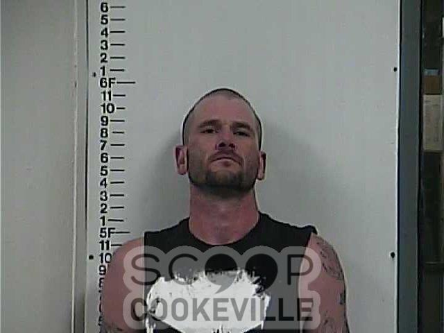 SCOTTIE  KEY booked on charge of: Violation Of Probation (General Sessions)