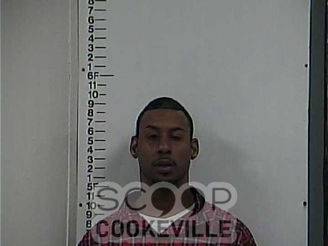 THADDEUS  SPADY booked on charge of: Violation Of Probation (General Sessions)