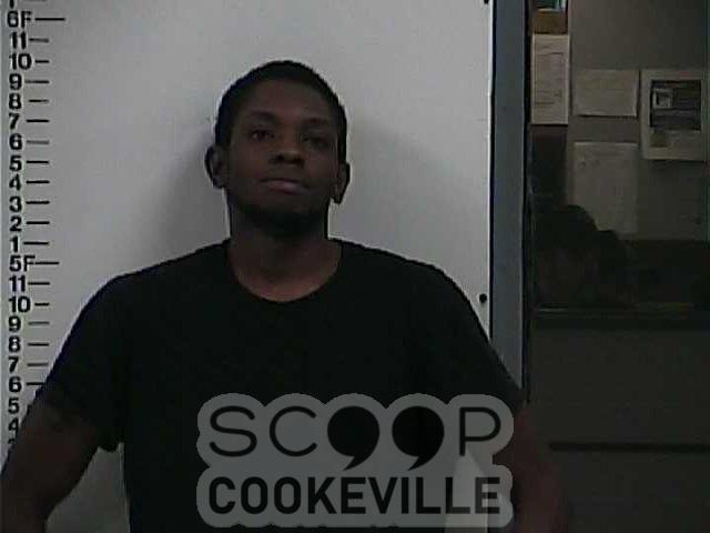 TYLOR JOHNSON booked on charge of: Violation Of Probation (General Sessions)