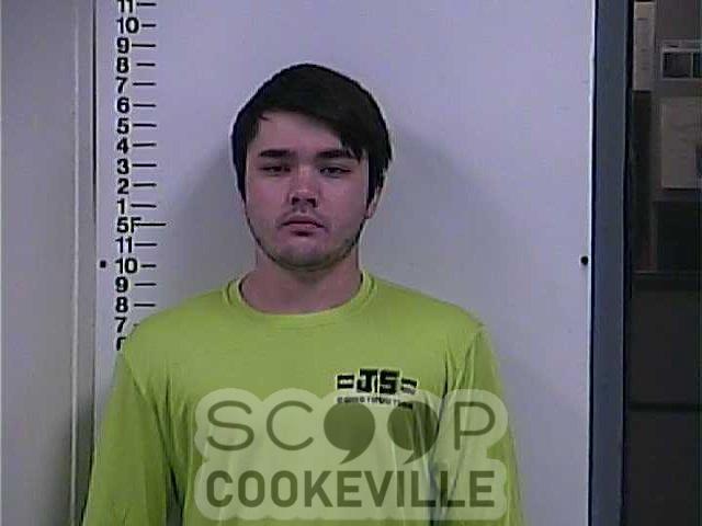 AUSTIN  RICCINTO booked on charge of: Hold/Transfer/Court No New Charges