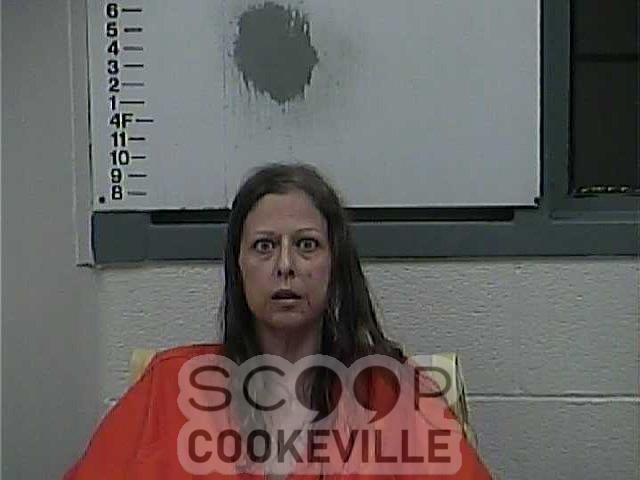 JANICE  RAY booked on charge of: Mittimus To Jail