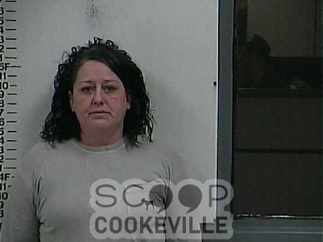 JENNIFER  BRAZLE booked on charge of: Hold/Transfer/Court No New Charges