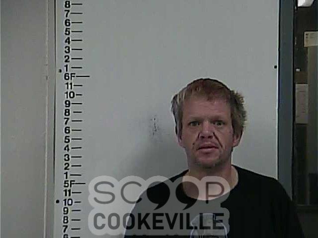 JONATHAN  DICKSON booked on charge of: Violation Of Probation (General Sessions)