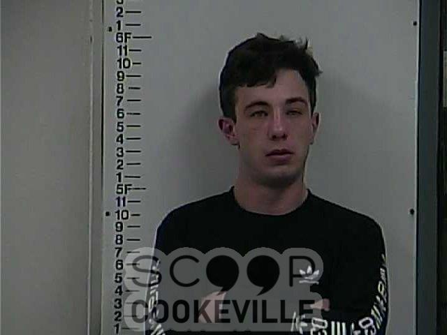NICHOLAS  PADGETT booked on charge of: Public Intoxication