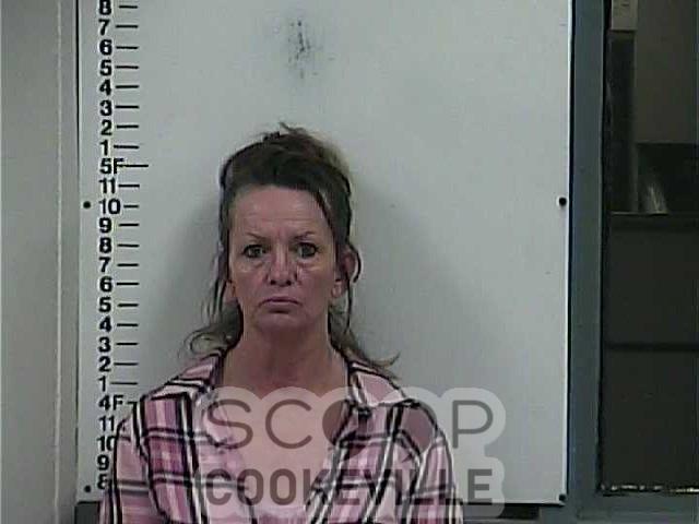 SARAH  MORRIS-TUBBS booked on charge of: Violation Of Probation (General Sessions)
