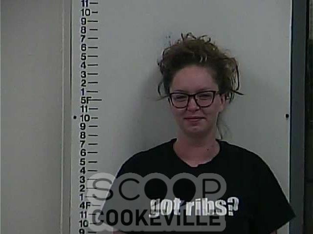  YENULONIS NICOLE booked on charge of: Public Intoxication