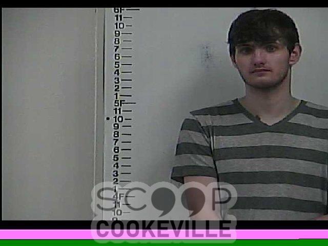 LUKE  HAMMOCK booked on charge of: Violation Of Bond Conditions