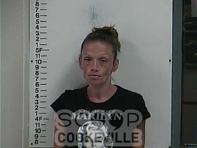 Tiffany Cherl Meadows Scoop Cookeville