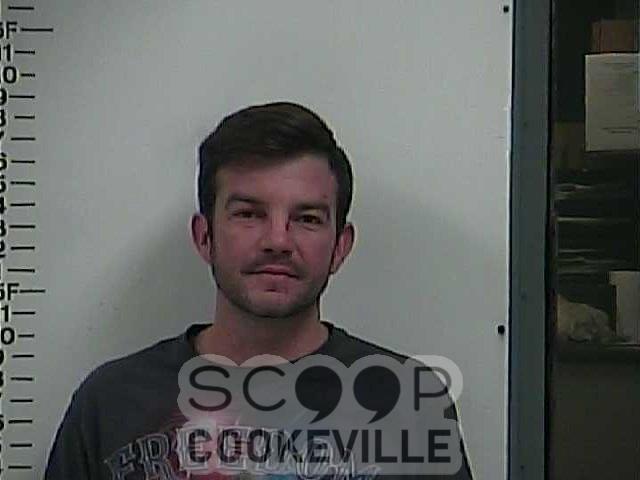 TRAVIS STEVENS Booked On Charge Of Domestic Assault 12 Hr Hold