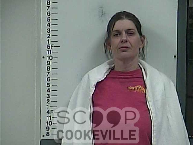 SHASTA RICHARDS booked on charge of: Aggravated Assault - Scoop: Tennessee