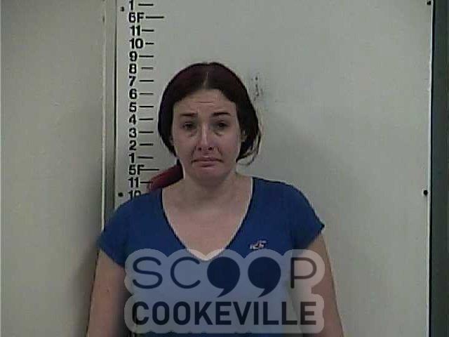 CHASTITY FRISTOE booked on charge of: Violation Of Community ...