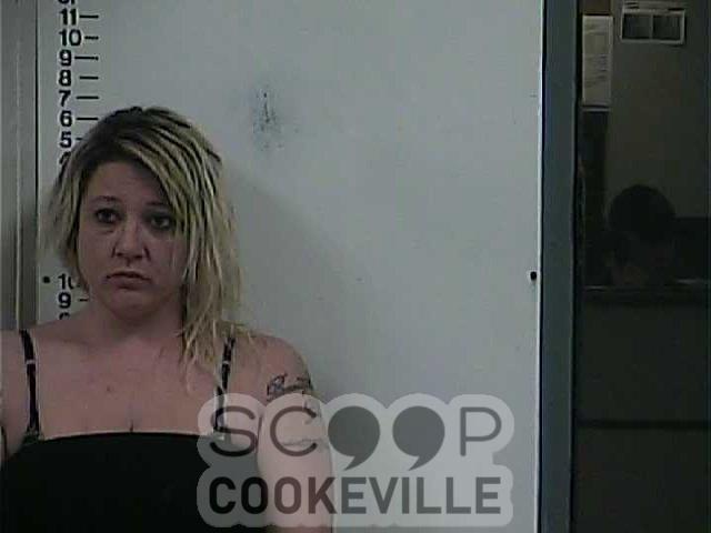 TIFFANY MYERS Booked On Charge Of Violation Of Probation Criminal