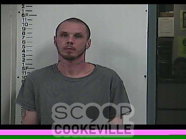 Jonathan Mathis Booked On Charge Of Aggravated Assault Scoop Cookeville