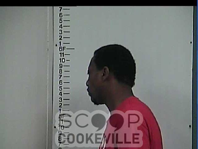 DARRAN TURNER booked on charge of: Aggravated Criminal ...