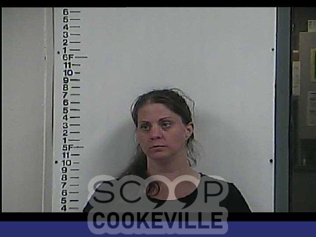 TINA BAILEY booked on charge of: Aggravated Assault - Scoop: Tennessee